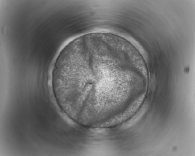 X0000103160862200809192052