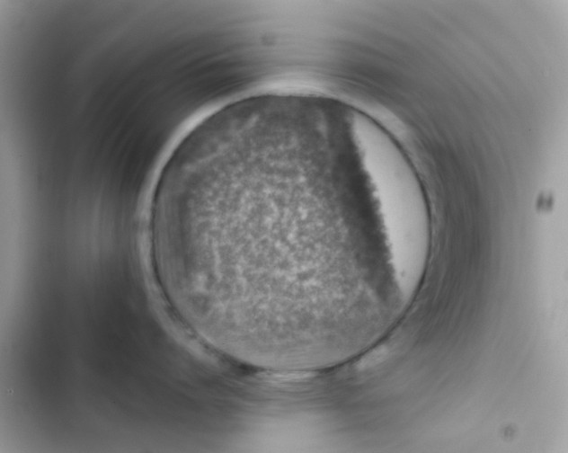 X0000103160864200809192052