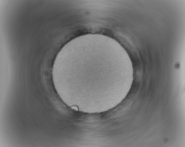 X0000103160865200809192051