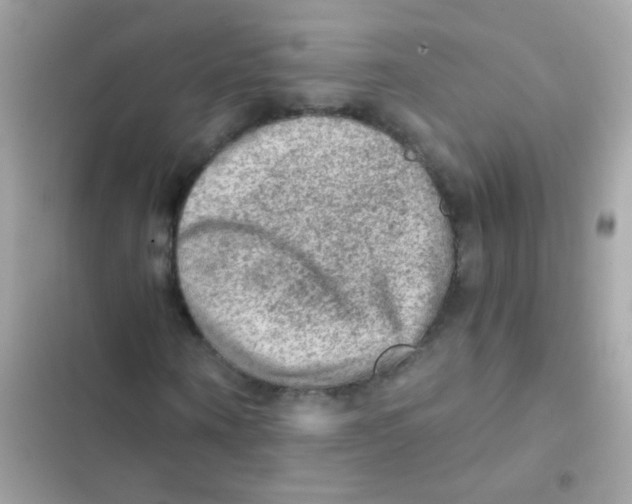 X0000103160866200809192051