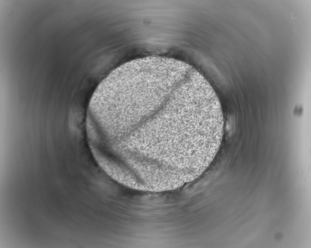X0000103160867200809192051