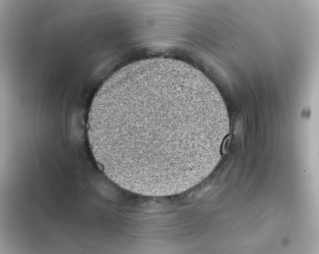 X0000103160868200809192051
