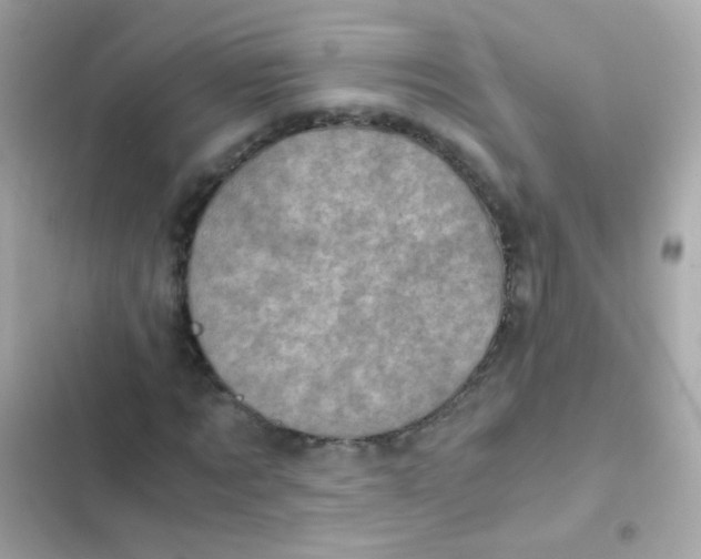 X0000103160869200809192051