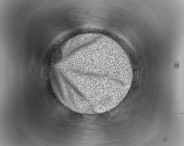 X0000103160870200809192051