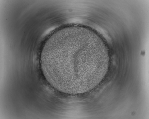 X0000103160872200809192051