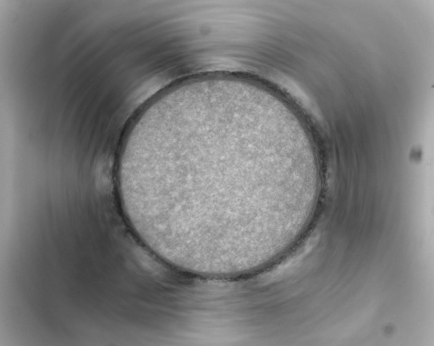 X0000103160873200809192051