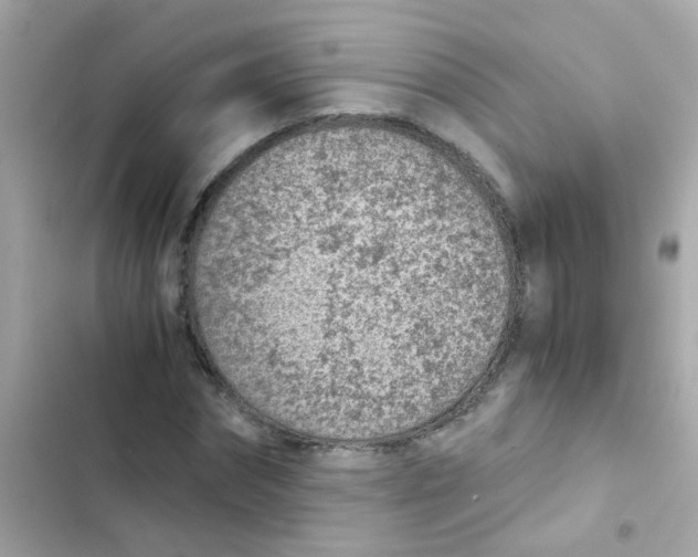X0000103160874200809192051