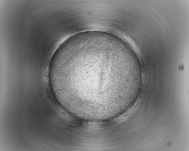X0000103160875200809192051