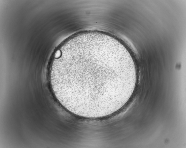 X0000103160876200809192051