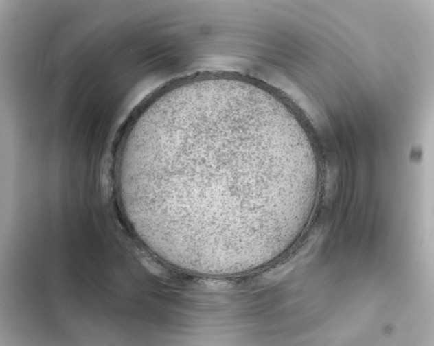 X0000103160878200809192051
