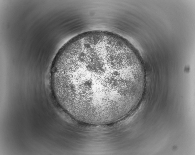 X0000103160879200809192051
