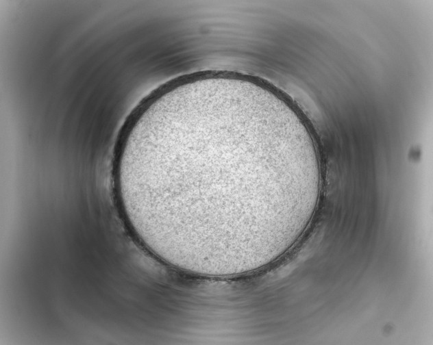 X0000103160880200809192051