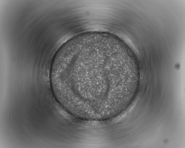 X0000103160881200809192051