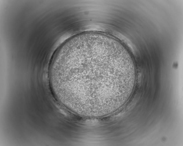 X0000103160882200809192051