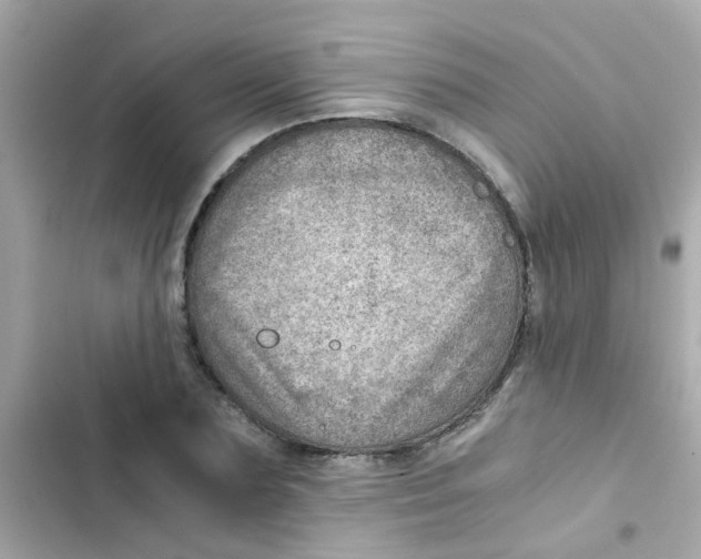X0000103160883200809192051