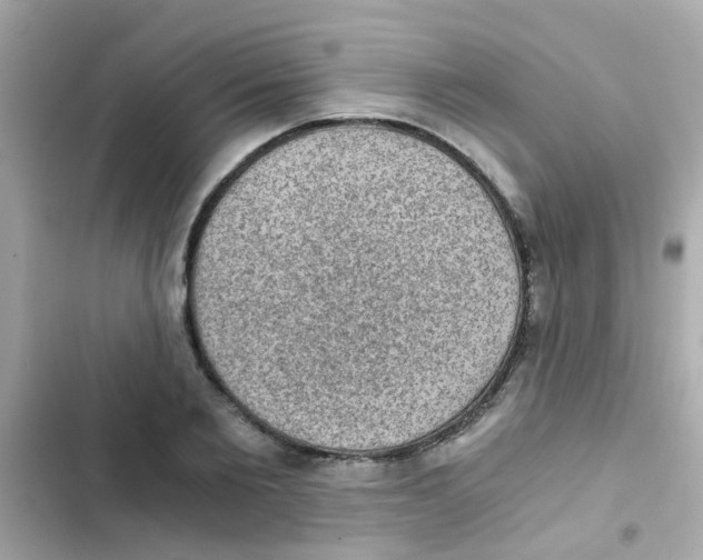 X0000103160885200809192051