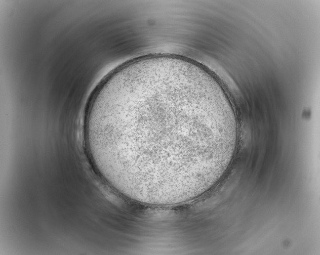 X0000103160886200809192051