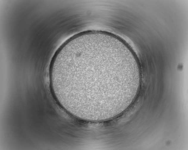 X0000103160887200809192051
