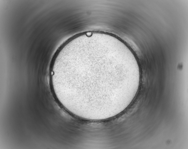 X0000103160888200809192051