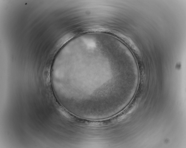 X0000103160889200809192051