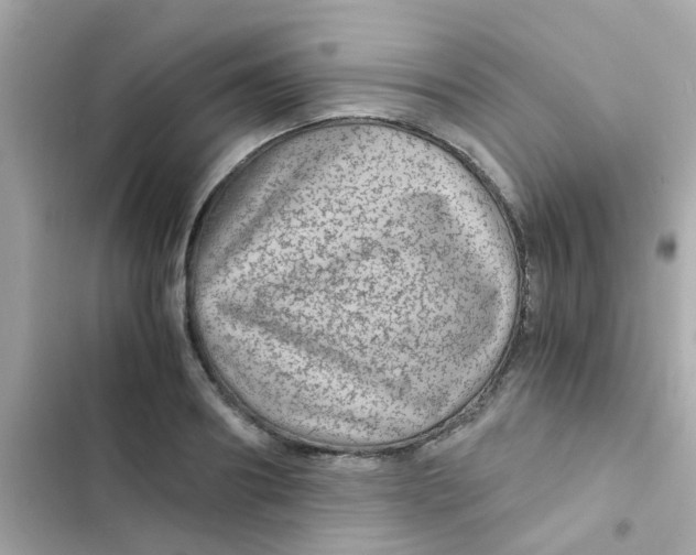 X0000103160890200809192051
