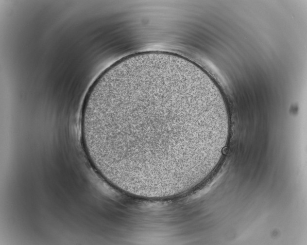 X0000103160892200809192051