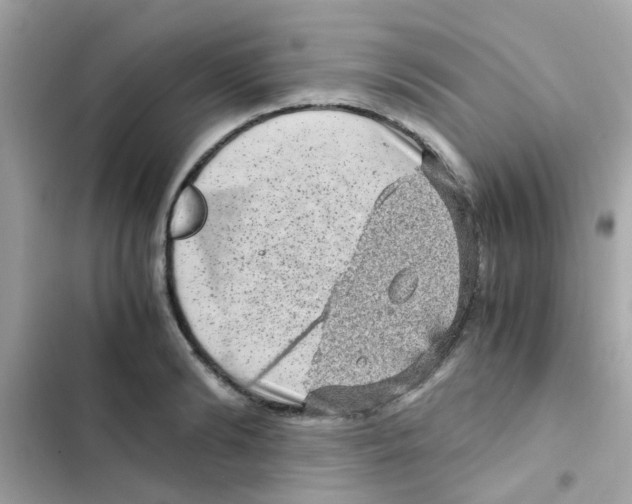 X0000103160894200809192051