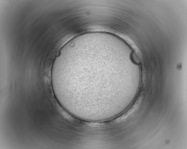 X0000103160897200809192051