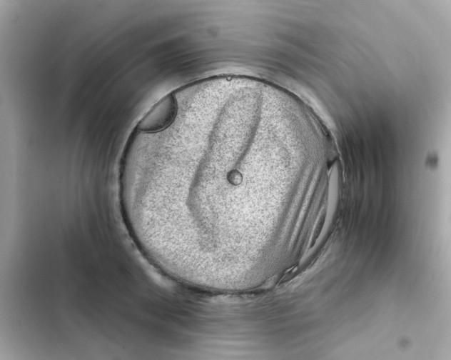 X0000103160898200809192051