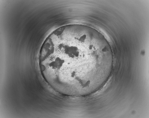 X0000103160899200809192051