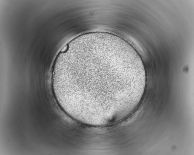 X0000103160900200809192051
