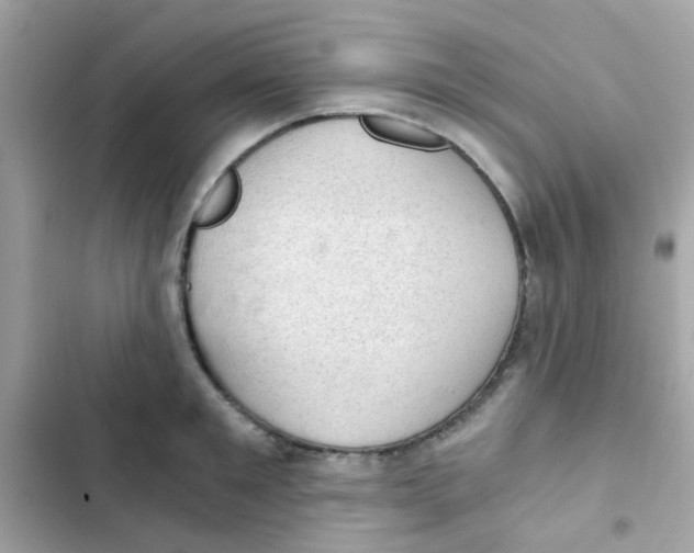 X0000103160901200809192051