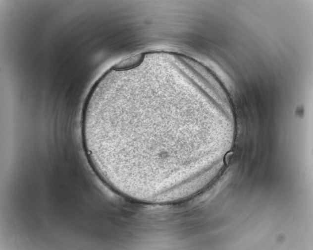 X0000103160902200809192050