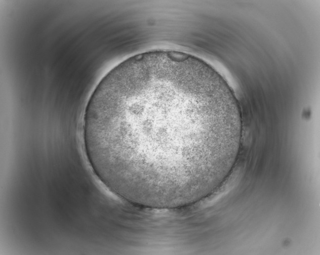X0000103160903200809192050