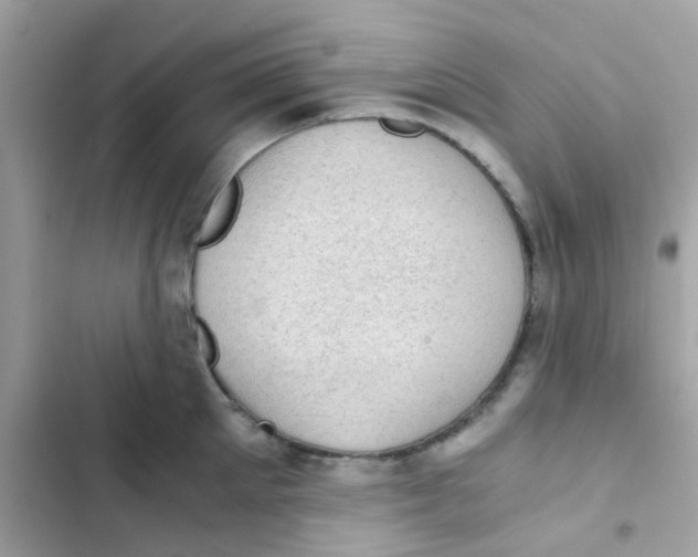 X0000103160905200809192050