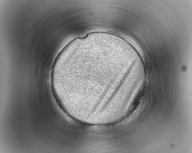 X0000103160906200809192050
