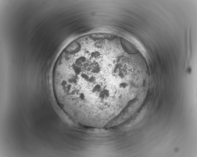 X0000103160907200809192050
