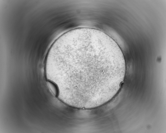 X0000103160908200809192050
