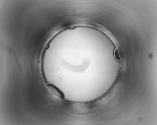 X0000103160909200809192050