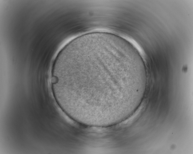 X0000103160910200809192050