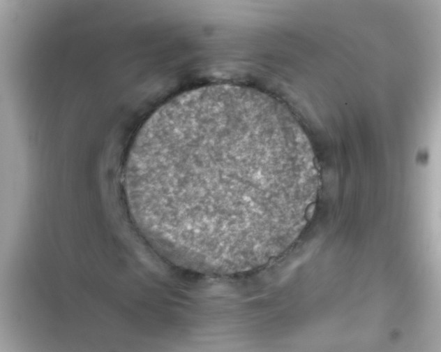 X0000103160913200809192050