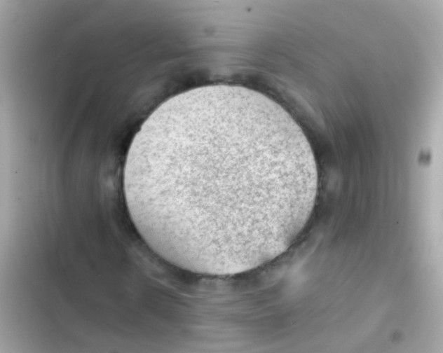 X0000103160914200809192050