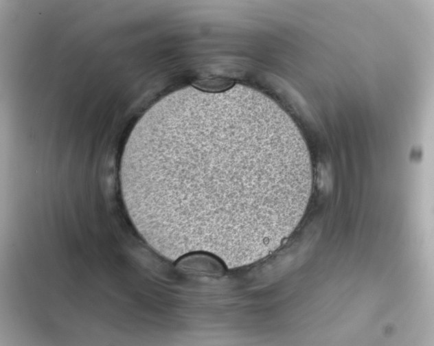 X0000103160915200809192050