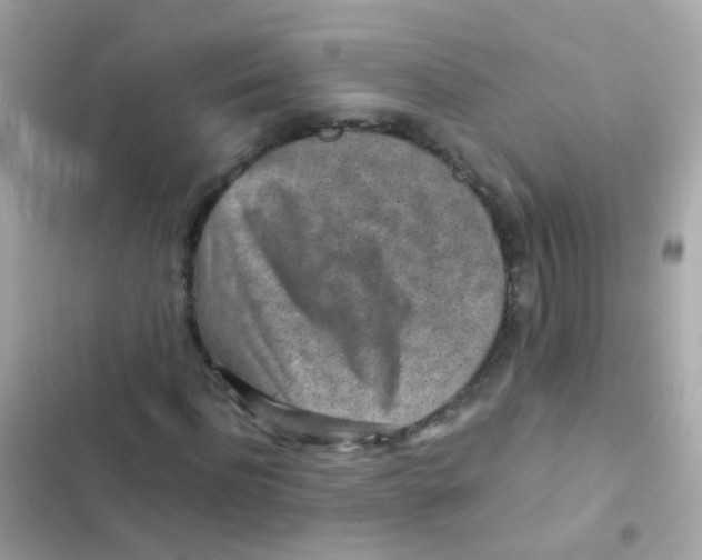 X0000103160916200809192050