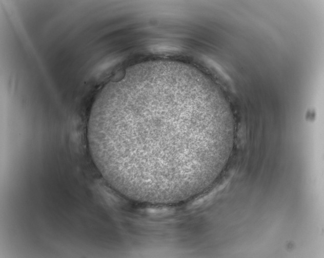 X0000103160917200809192050