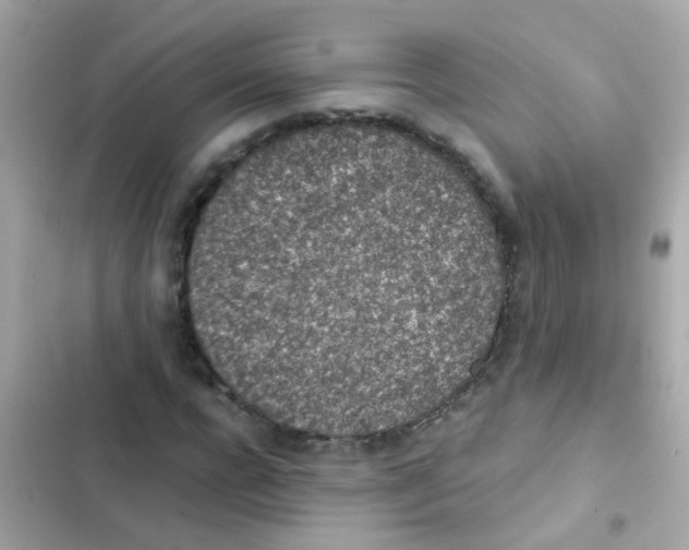 X0000103160920200809192050