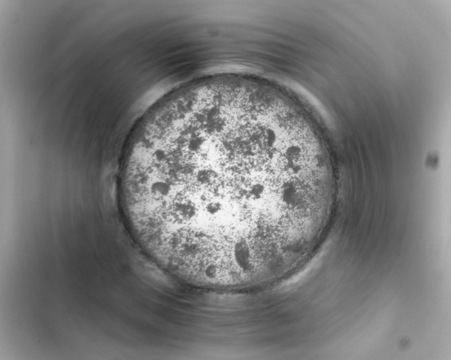 X0000103160921200809192050