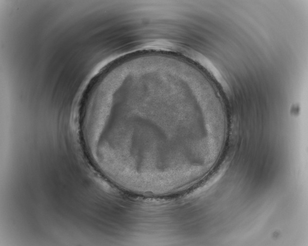 X0000103160923200809192050