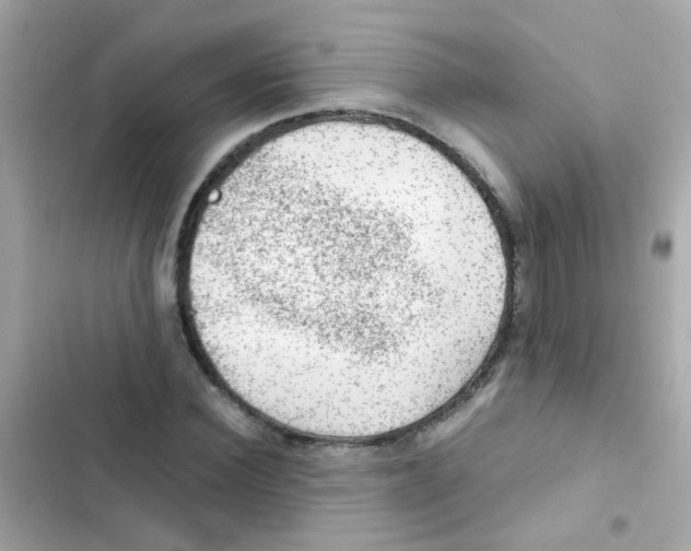 X0000103160924200809192050