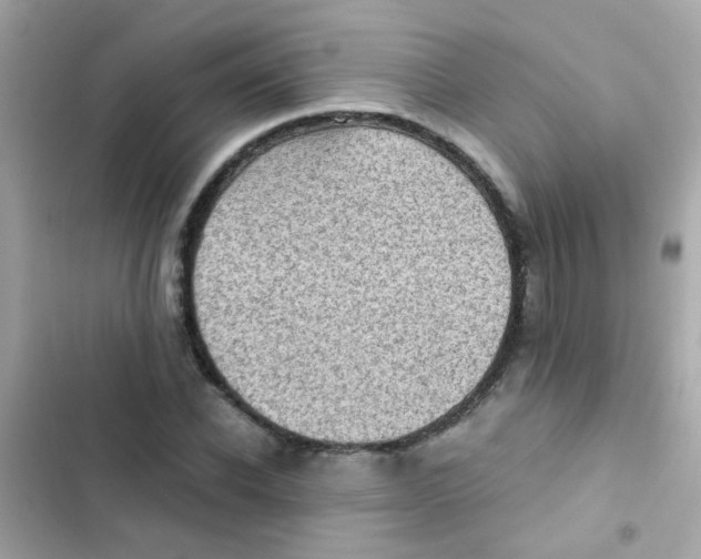 X0000103160926200809192050